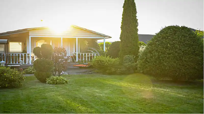 How Can You Repair Bare Patches Using Lawn Seed?