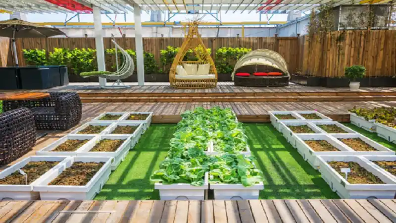 Sustainable Solutions for Modern Yards